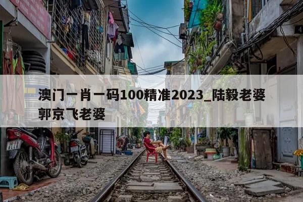 澳门一肖一码100精准2023_陆毅老婆郭京飞老婆