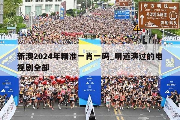 新澳2024年精准一肖一码_明道演过的电视剧全部