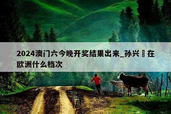 2024澳门六今晚开奖结果出来_孙兴慜在欧洲什么档次