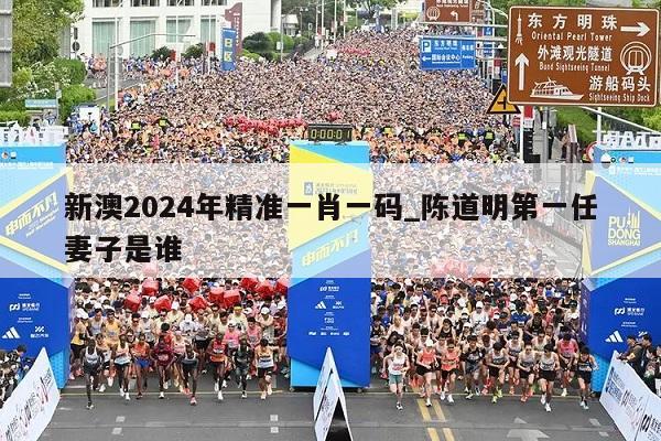 新澳2024年精准一肖一码_陈道明第一任妻子是谁