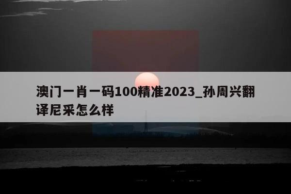 澳门一肖一码100精准2023_孙周兴翻译尼采怎么样