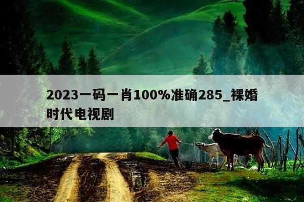 2023一码一肖100%准确285_裸婚时代电视剧