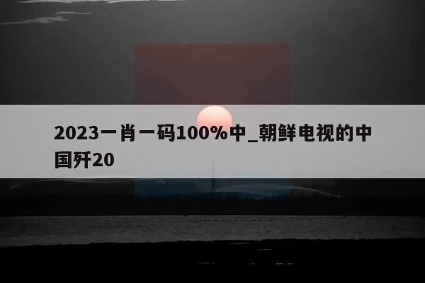 2023一肖一码100%中_朝鲜电视的中国歼20