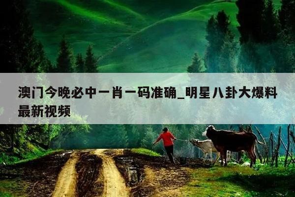 澳门今晚必中一肖一码准确_明星八卦大爆料最新视频