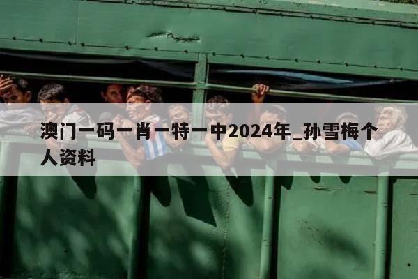 澳门一码一肖一特一中2024年_孙雪梅个人资料