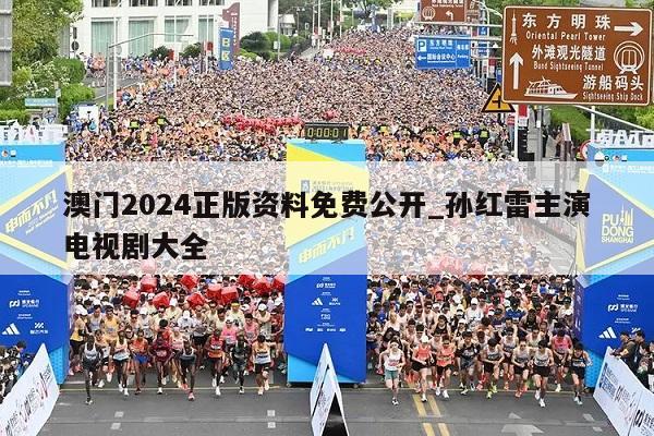 澳门2024正版资料免费公开_孙红雷主演电视剧大全