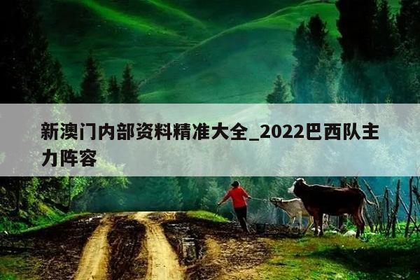 新澳门内部资料精准大全_2022巴西队主力阵容  第1张