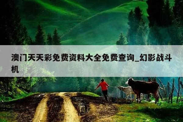 澳门天天彩免费资料大全免费查询_幻影战斗机