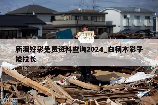 新澳好彩免费资料查询2024_白杨木影子被拉长