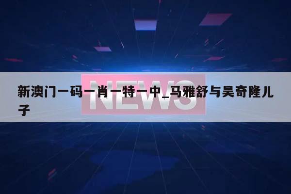 新澳门一码一肖一特一中_马雅舒与吴奇隆儿子  第1张