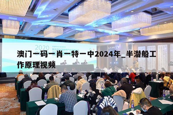 澳门一码一肖一特一中2024年_半潜船工作原理视频  第1张