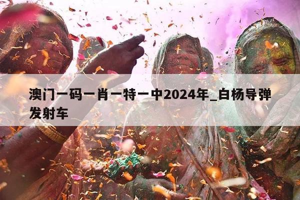 澳门一码一肖一特一中2024年_白杨导弹发射车