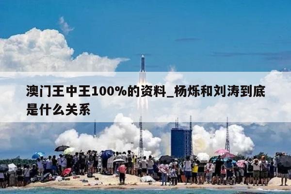 澳门王中王100%的资料_杨烁和刘涛到底是什么关系  第1张