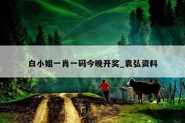 白小姐一肖一码今晚开奖_袁弘资料