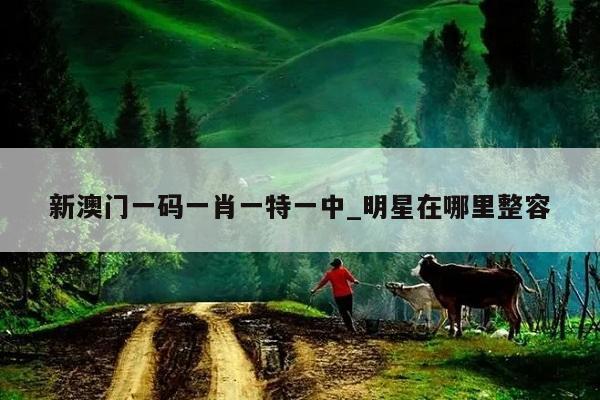 新澳门一码一肖一特一中_明星在哪里整容