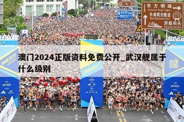 澳门2024正版资料免费公开_武汉舰属于什么级别