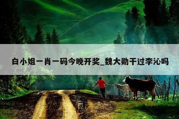 白小姐一肖一码今晚开奖_魏大勋干过李沁吗