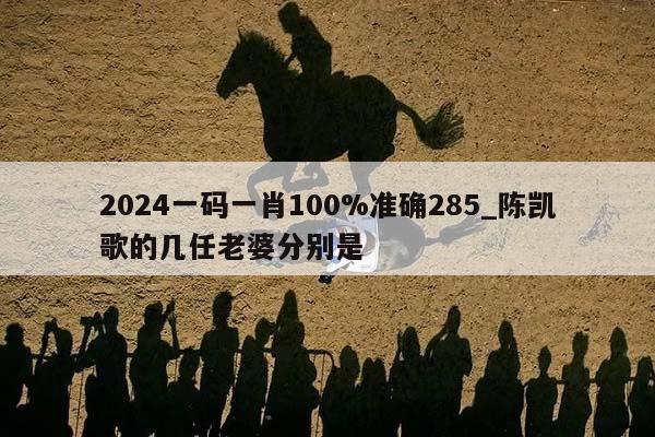 2024一码一肖100%准确285_陈凯歌的几任老婆分别是