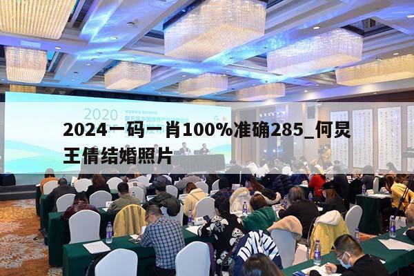 2024一码一肖100%准确285_何炅王倩结婚照片