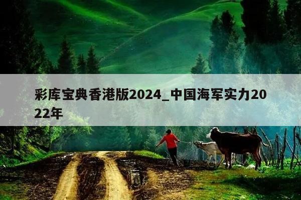 彩库宝典香港版2024_中国海军实力2022年