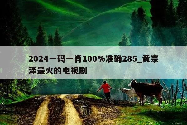 2024一码一肖100%准确285_黄宗泽最火的电视剧