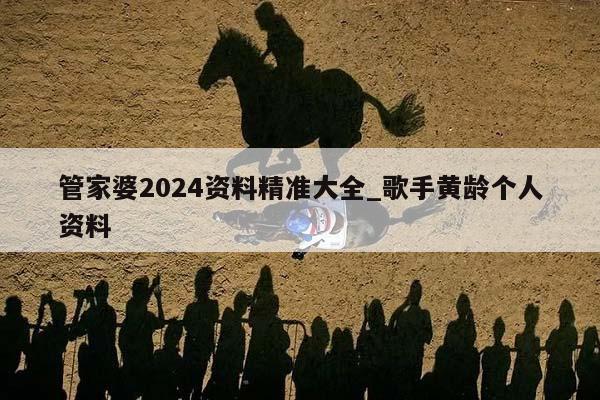 管家婆2024资料精准大全_歌手黄龄个人资料  第1张