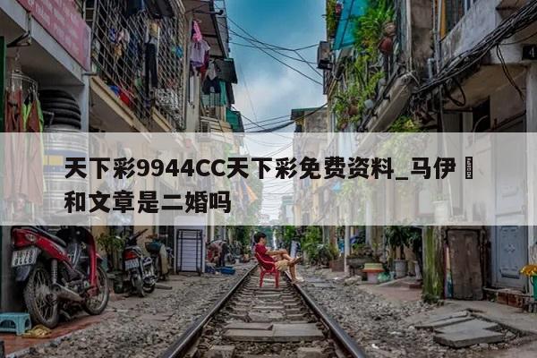 天下彩9944CC天下彩免费资料_马伊琍和文章是二婚吗