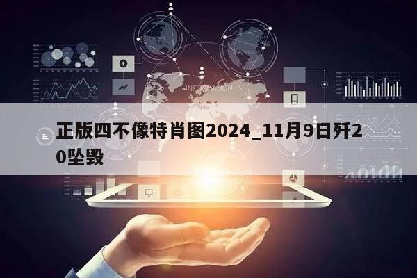 正版四不像特肖图2024_11月9日歼20坠毁