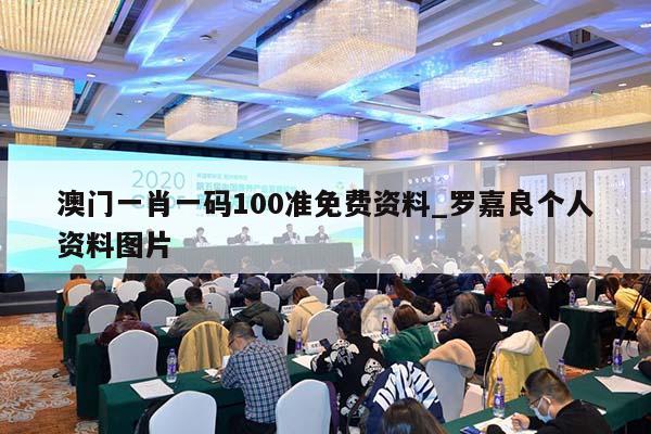 澳门一肖一码100准免费资料_罗嘉良个人资料图片