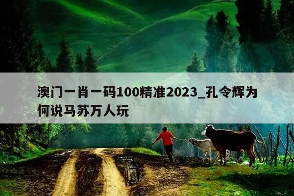 澳门一肖一码100精准2023_孔令辉为何说马苏万人玩