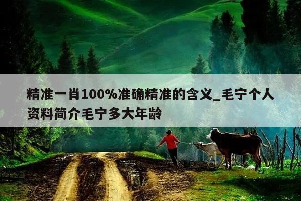 精准一肖100%准确精准的含义_毛宁个人资料简介毛宁多大年龄