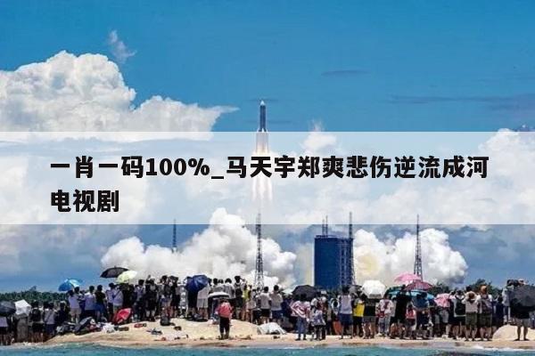 一肖一码100%_马天宇郑爽悲伤逆流成河电视剧