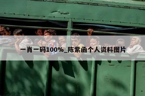 一肖一码100%_陈紫函个人资料图片