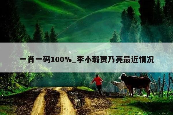 一肖一码100%_李小璐贾乃亮最近情况