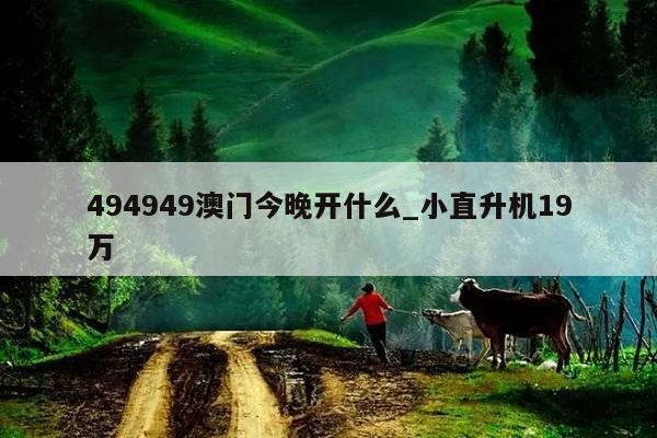 494949澳门今晚开什么_小直升机19万