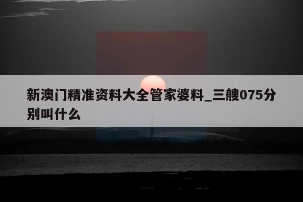 新澳门精准资料大全管家婆料_三艘075分别叫什么