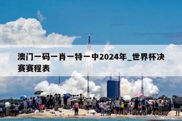 澳门一码一肖一特一中2024年_世界杯决赛赛程表  第1张