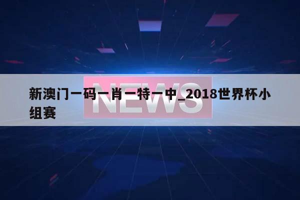 新澳门一码一肖一特一中_2018世界杯小组赛