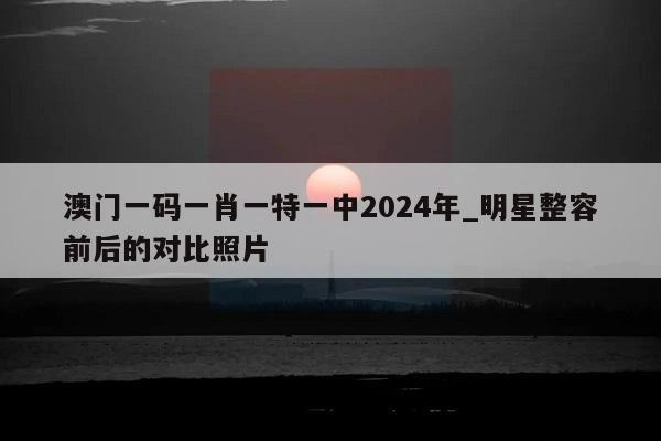 澳门一码一肖一特一中2024年_明星整容前后的对比照片