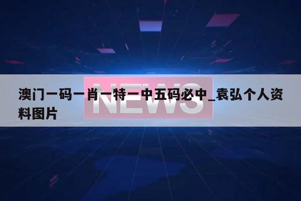 澳门一码一肖一特一中五码必中_袁弘个人资料图片