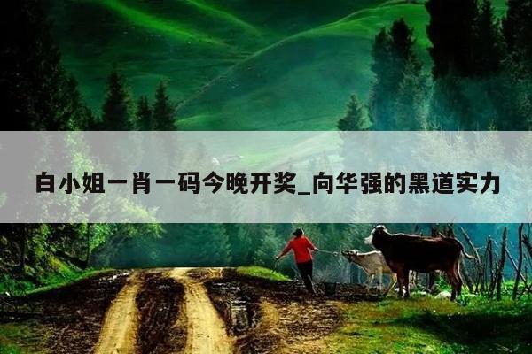 白小姐一肖一码今晚开奖_向华强的黑道实力