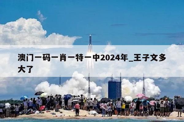 澳门一码一肖一特一中2024年_王子文多大了