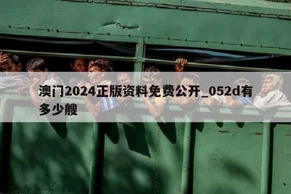 澳门2024正版资料免费公开_052d有多少艘