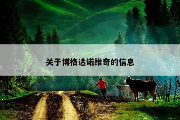 关于博格达诺维奇的信息