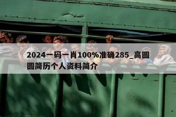 2024一码一肖100%准确285_高圆圆简历个人资料简介  第1张