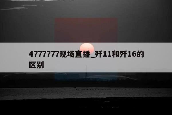 4777777现场直播_歼11和歼16的区别