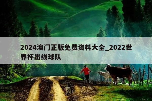 2024澳门正版免费资料大全_2022世界杯出线球队