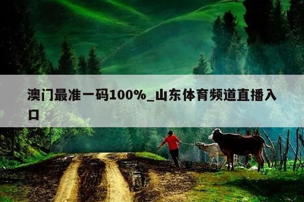 澳门最准一码100%_山东体育频道直播入口  第1张