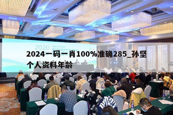 2024一码一肖100%准确285_孙坚个人资料年龄