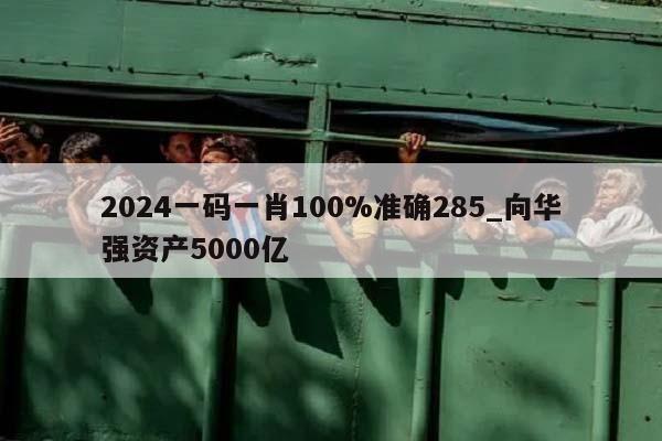 2024一码一肖100%准确285_向华强资产5000亿